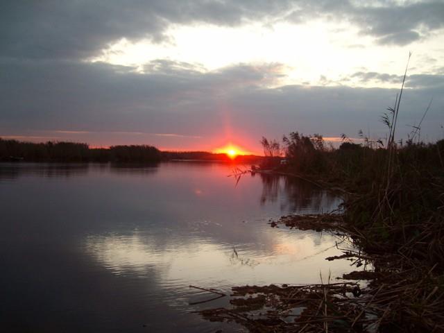 Prin Delta Dunarii - SANY1209.JPG